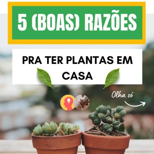 Post Produto